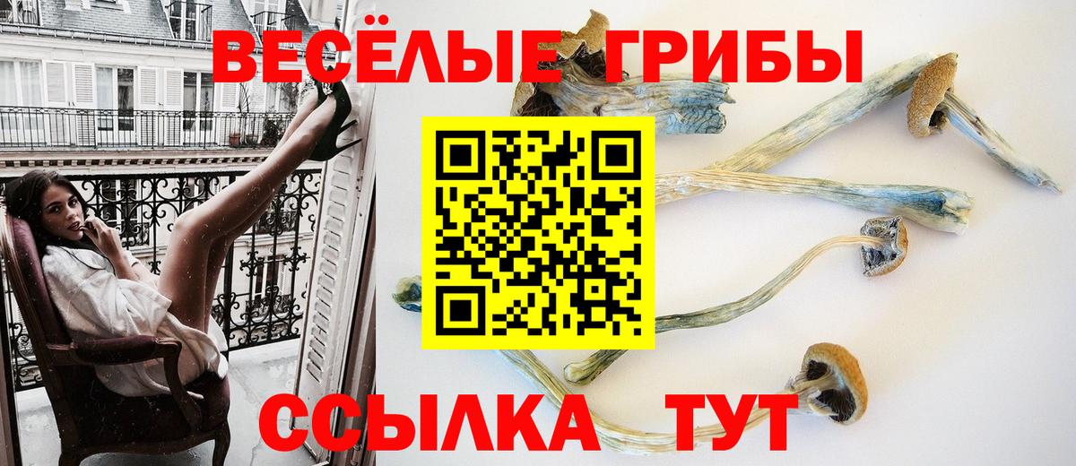 Галлюциногенные грибы GOLDEN TEACHER  Вход с VPN  Зеленодольск 
